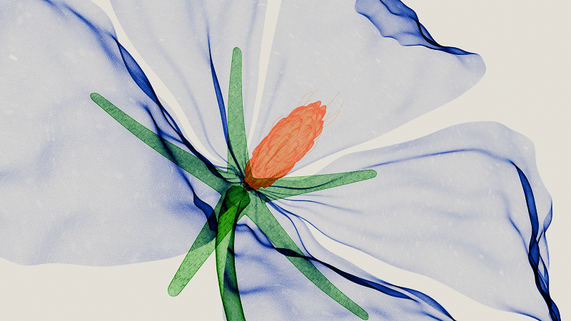 探索 v22 的新特性